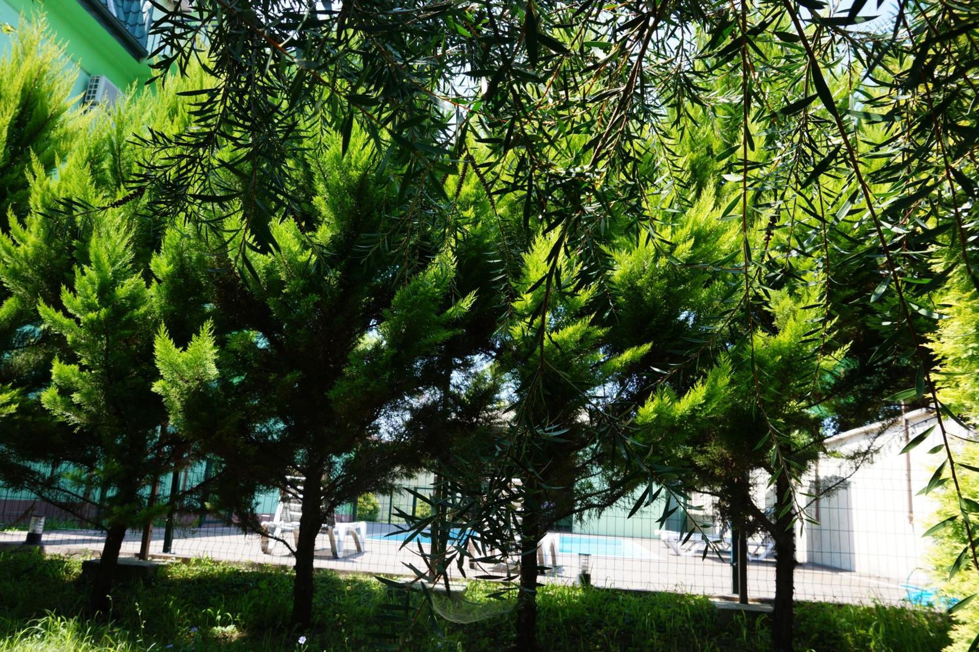 Villa Qero Batumi Kültér fotó
