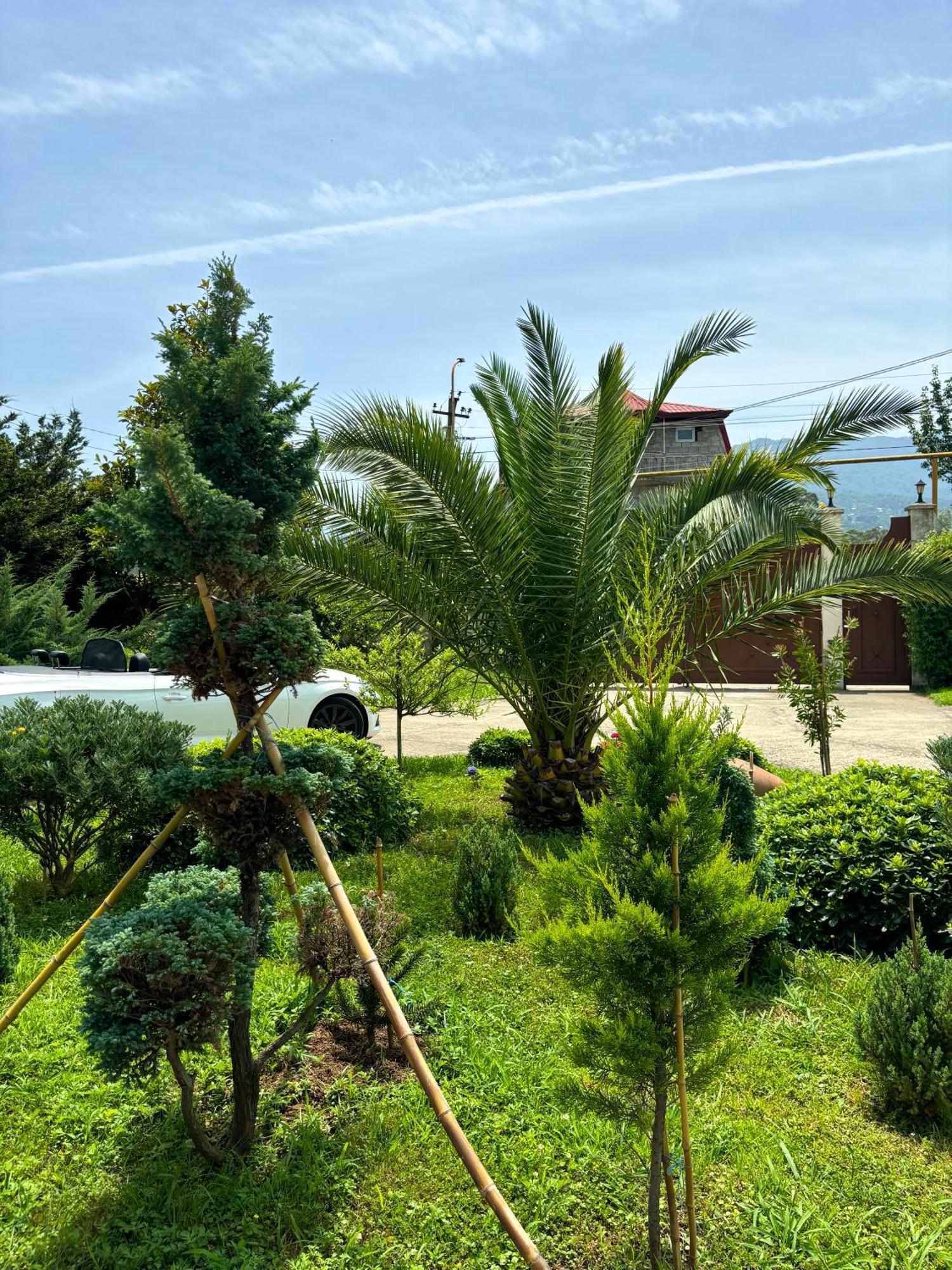 Villa Qero Batumi Kültér fotó