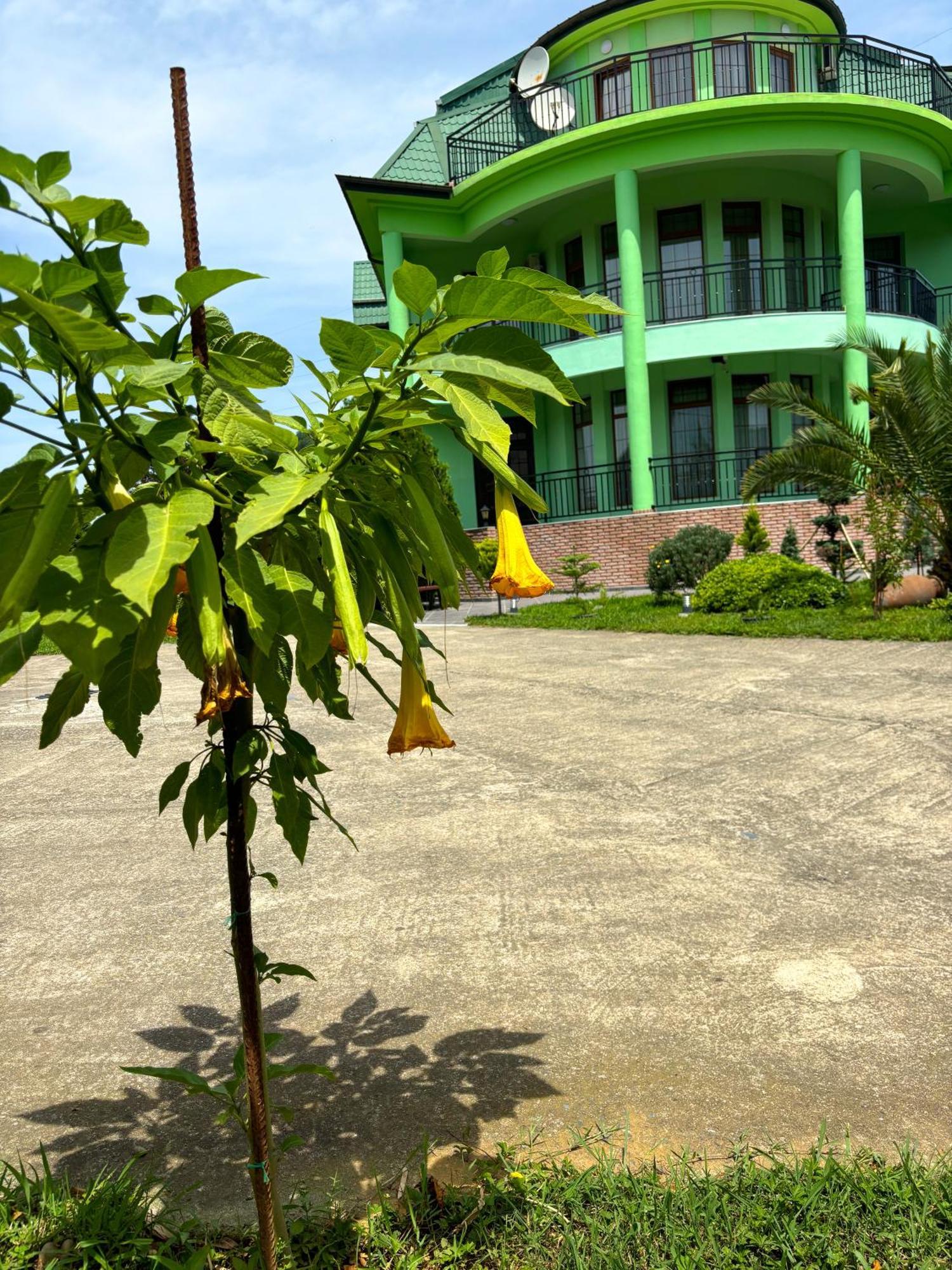 Villa Qero Batumi Kültér fotó